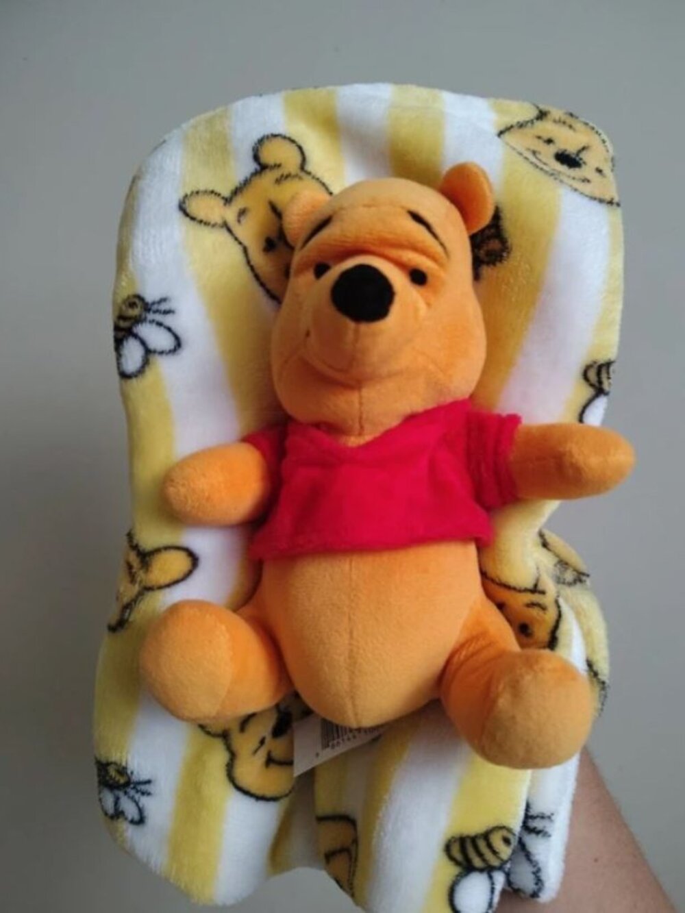 Disney Winnie the Pooh Set